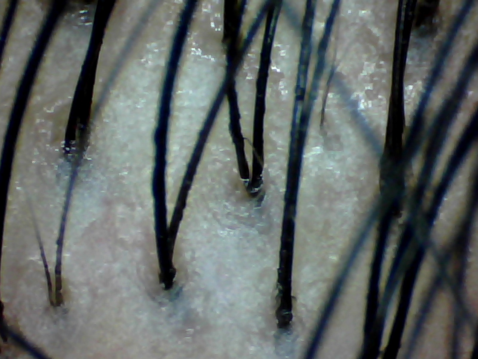 4.jpg(297037 byte)