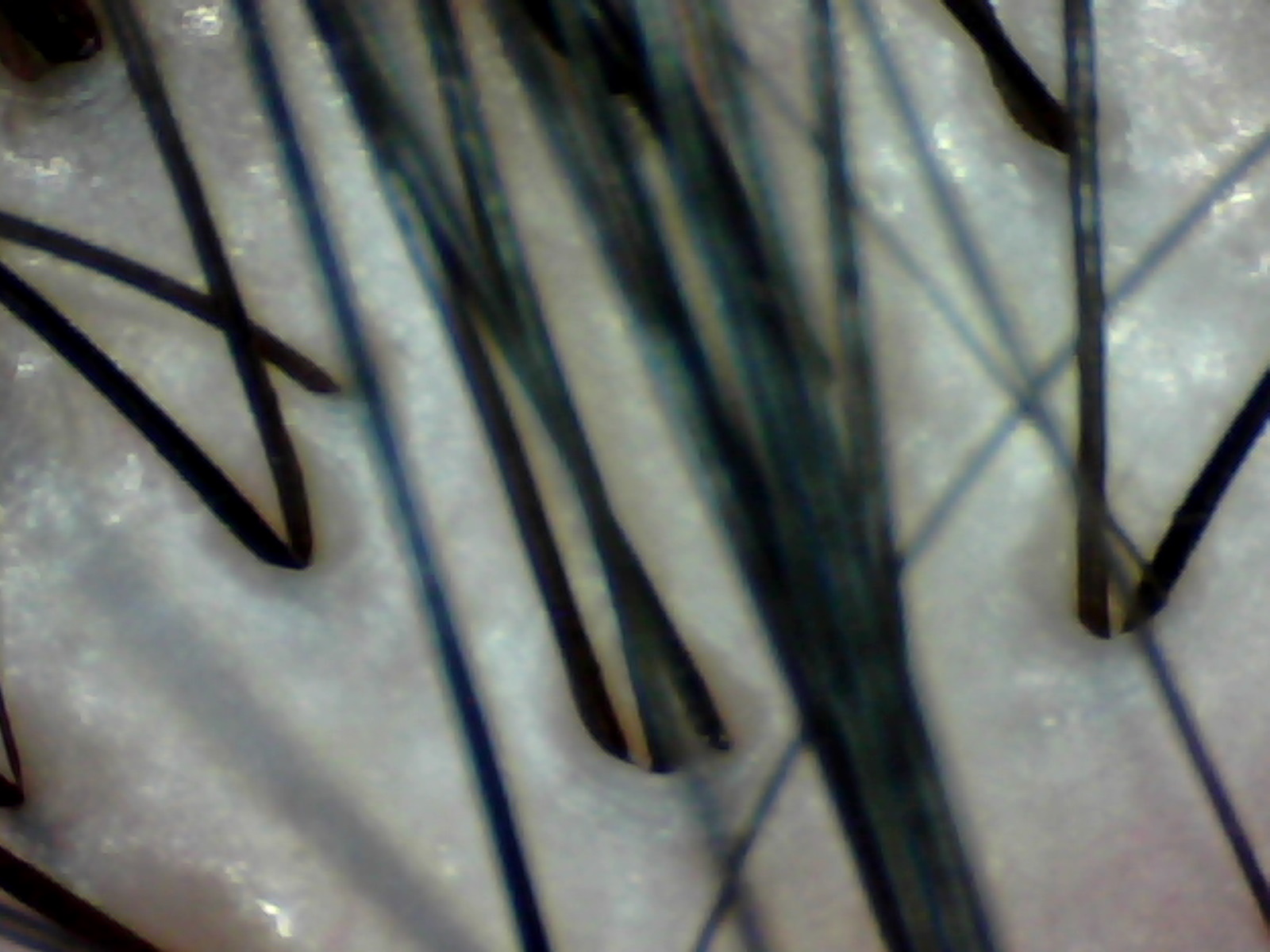 5.jpg(269305 byte)