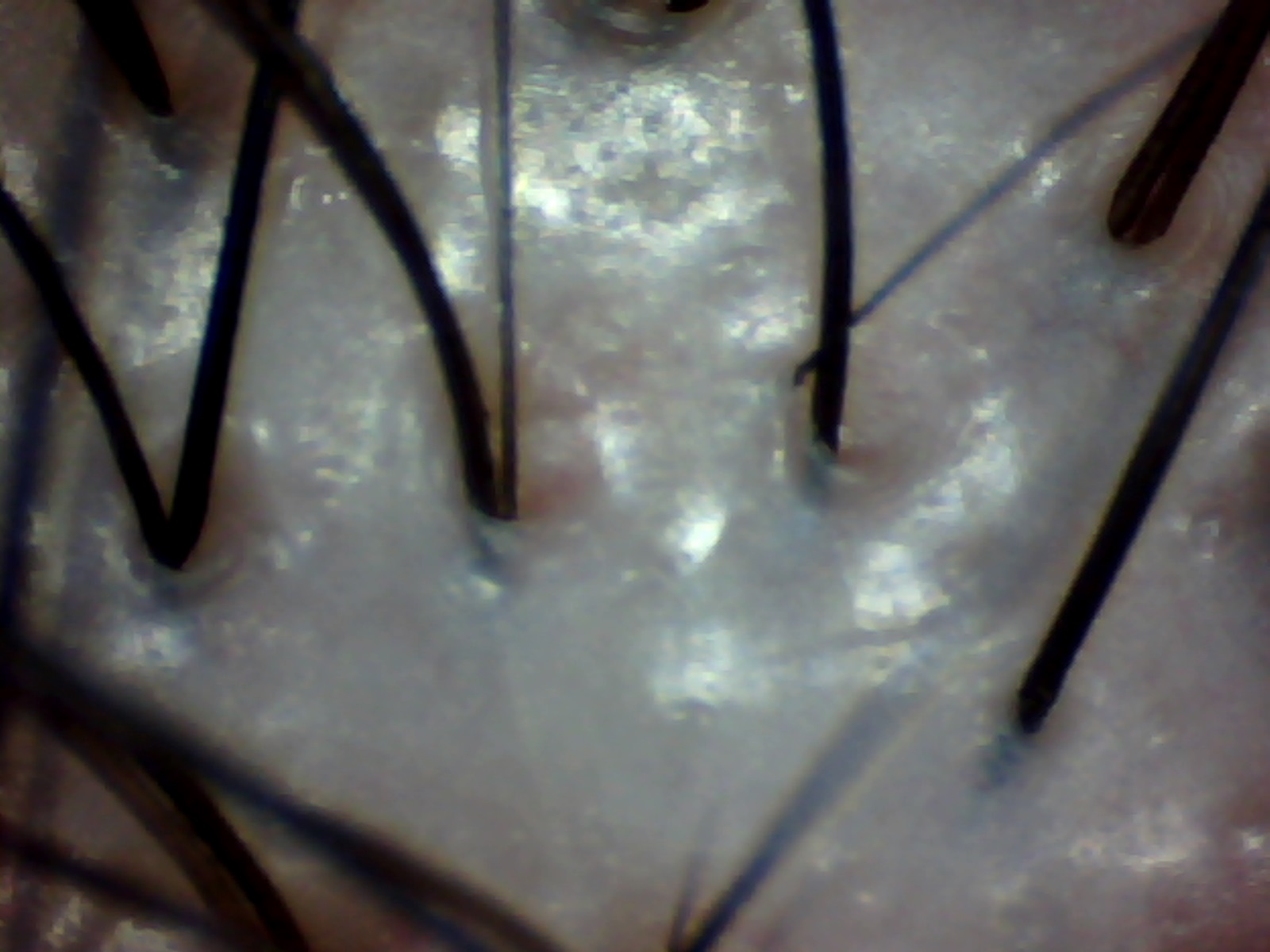 6.jpg(239646 byte)